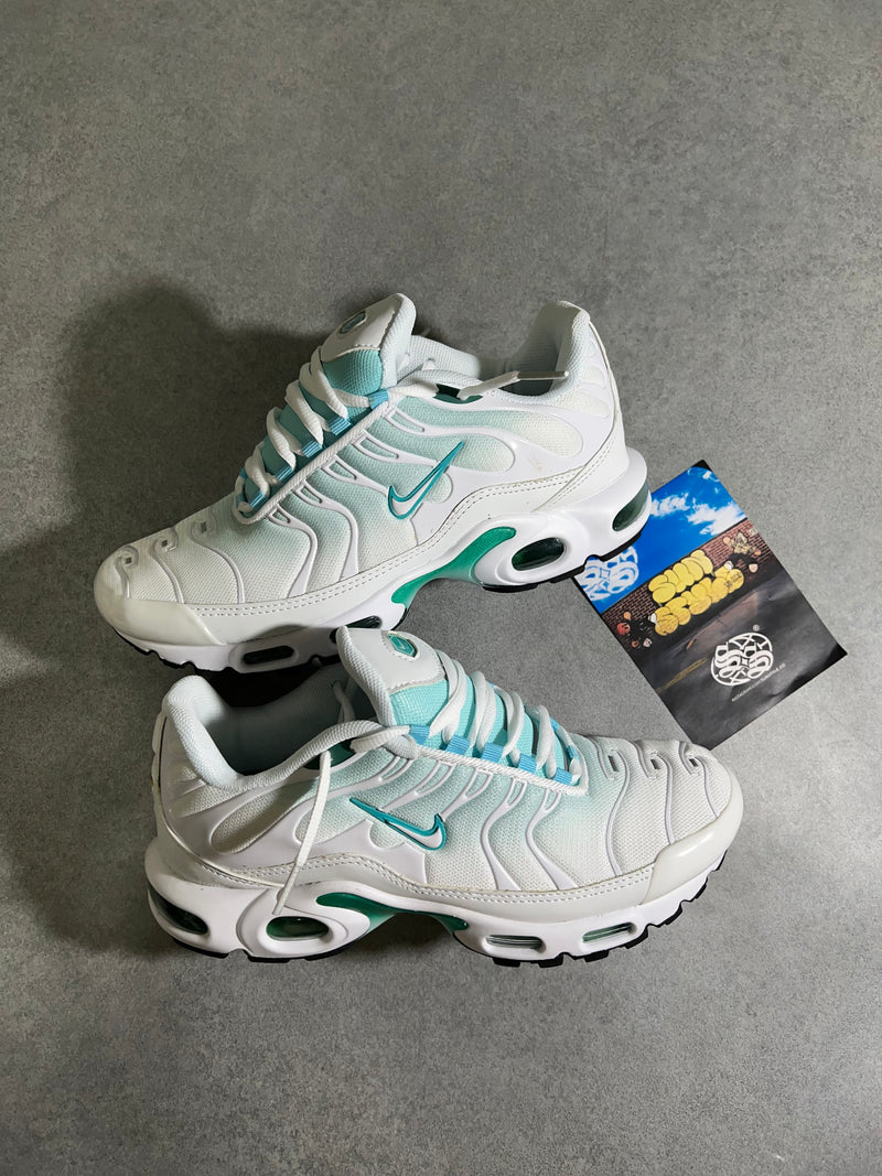 Air max Plus TN 1 “BLUE&GREEN”- Tamanho 38.